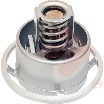 TERMOSTAT V21705453