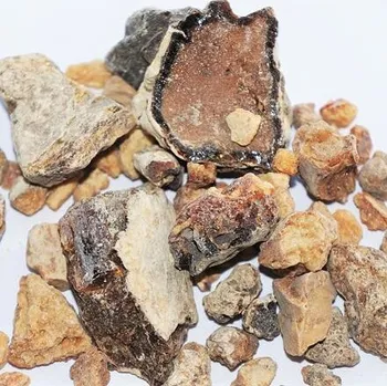 Čajovna KOPÁL NEGRO