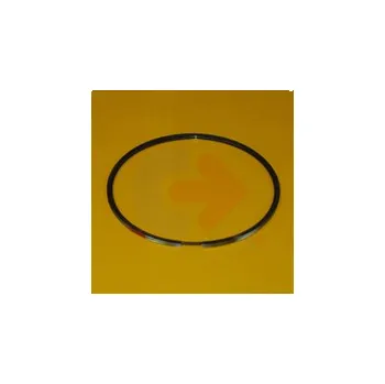 PEČETNÍ KROUŽEK CAT 7E6047