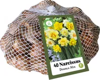 JUB Holland Narcis Double Mix XXL 40 ks