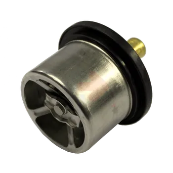 TERMOSTAT VODY CAT 4W4794