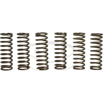 Sada spojkových pružin YAMAHA FZ1 Fazer rok 06-14