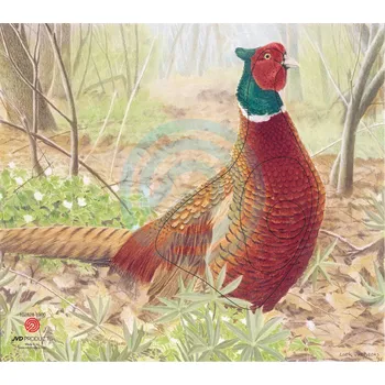 Sportovní střelba Terč 2D Bažant (2D)