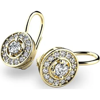 Náušnice Dámské náušnice žluté zlato 585/1000 zirkon 10920-ZL-ZIR