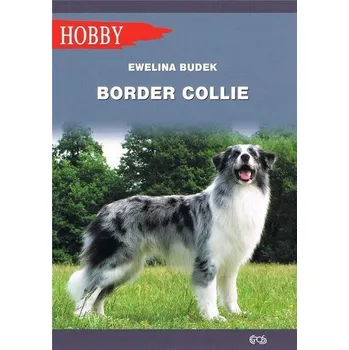 Border Collie w.2020 - Ewelina Budek