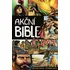 Komiks pro dospělé Akční Bible - David C. Cook (2023, pevná)