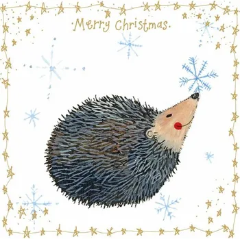 Ježek Přání s obálkou vánoční Hedgehog, ALEX CLARK 10*10 cm