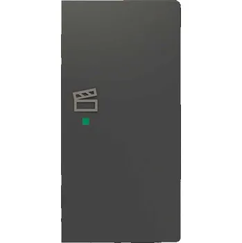 6220T-A02203 237 Kryt 2násobný pravý, symbol "scény", matná černá, Zoni, ABB