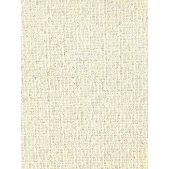 Koberec Koberec ATHINA NV DUBLIN 202 bílý