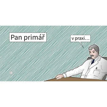 Komiks pro dospělé Pan Primář v praxi ...