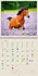 Kalendář Helma365 Nástěnný kalendář Horses 2024