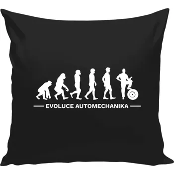 Polštář Polštář černý 40x40 cm Evoluce - automechanik