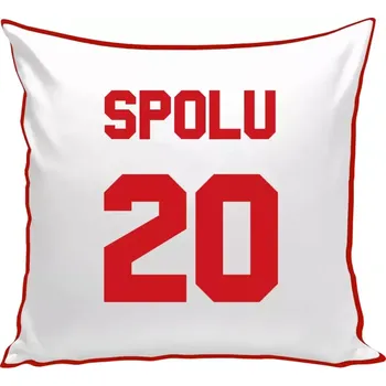 Polštář Polštář barevný 32x32 cm Spolu