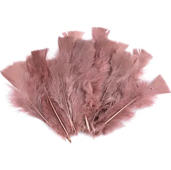 Příze Krůtí peří délka 11 - 17 cm, 20 ks, 28 starorůžová