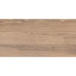 Dlažba Acero Digital, 300 × 600 mm, matná 4048