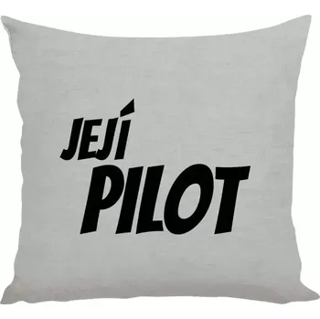 Polštář Polštář lněný 40x40 cm Její pilot