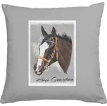 Polštář bavlněný s potiskem Polštář Ange Guardian