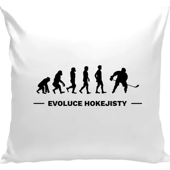 Polštář Polštář bílý 40x40 cm Evoluce - hokejista