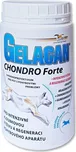 Orling Gelacan Chondro Forte
