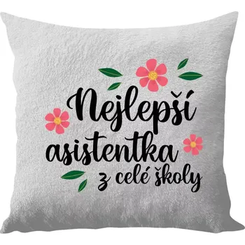 Polštář Polštář bílý 40x40 cm - dlouhý chlup Nejlepší asistentka z celé školy