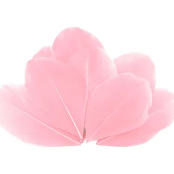 Husí peří délka 5,5 - 7 cm - 10 ks - č.13 sv. růžová