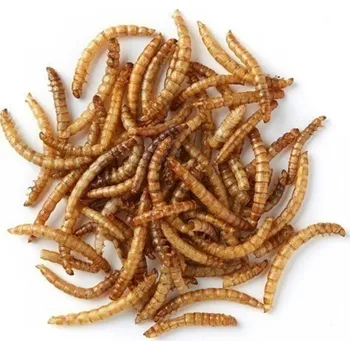 Krmivo pro terarijní zvíře JKA Mouční Červi 500 Ml 80 G