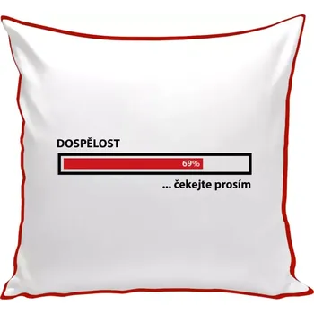 Polštář Polštář barevný 32x32 cm Dospělost - čekejte prosím