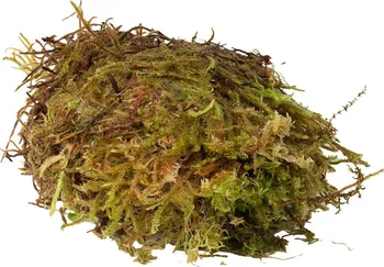 Podestýlka pro terarijní zvíře HabiStat Sphagnum Moss přírodní mech
