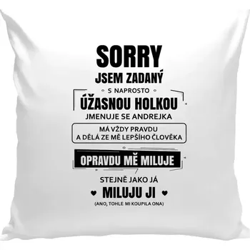 Polštář Polštář bílý 40x40 cm Sorry, jsem zadaný