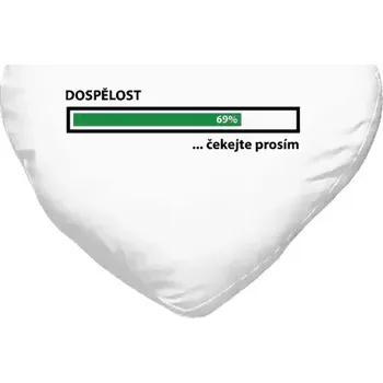 Polštář Polštář srdce 40x35 cm Dospělost - čekejte prosím