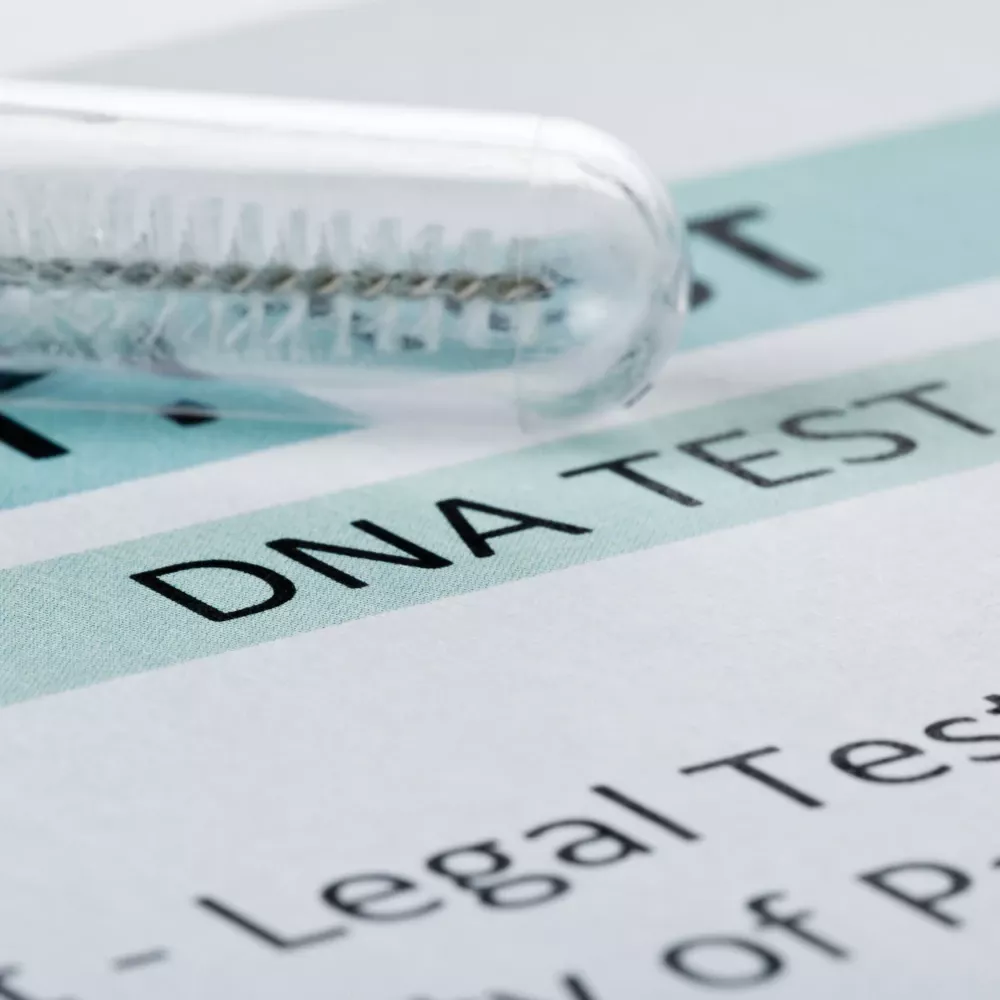 DNA test sourozenectví 2