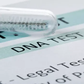 Diagnostický test DNA test sourozenectví 2