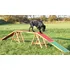 Trixie Agility nácviková lávka 30 x 64 x 456 cm