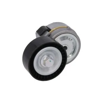 Rozvod motoru Napínací kladka pro IVECO DAILY, RENAULT MASCOTT + MASTER - SKF (1999-) 20120