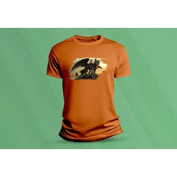 Chlapecké oblečení Dětské bavlněné tričko Jak vycvičit draka. velikost 140 (9-11 let) Oranžová