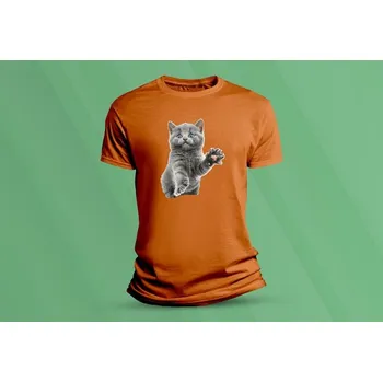 Chlapecké tričko Dětské bavlněné tričko Kočička 5. velikost 152 (12-13 let) Oranžová