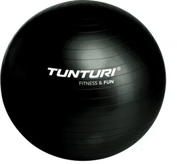 Gymnastický míč Tunturi Gymnastický míč s pumpičkou 65 cm
