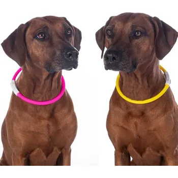 Obojek pro psa Svítící obojek pro psa HKM LED