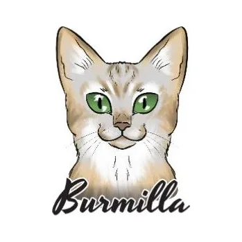 Samolepicí dekorace na vozidlo Samolepka na auto BURMILLA