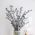 Sušené větvičky eukalyptu Silver Dollar 60 cm stříbrné