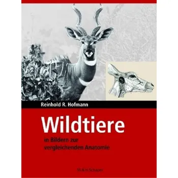Wildtiere in Bildern zur Vergleichenden Anatomie - Hofmann, Reinhold R.