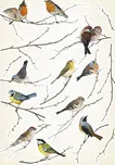 Komar Ptáčci 19705 50 x 70 cm