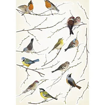 Samolepící dekorace Komar Ptáčci 19705 50 x 70 cm