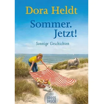 Sommer. Jetzt!. Großdruck - Heldt, Dora