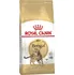 Krmivo pro kočku Royal Canin Cat Adult Bengal Poultry with Vegetables
