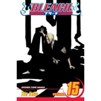 Bleach, Vol. 15 - Tite Kubo