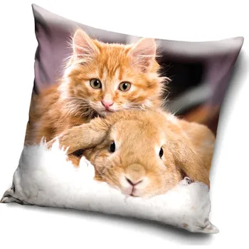 Povlak na dekorativní polštářek Carbotex Povlak na polštářek 40 x 40 cm