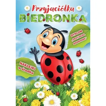 Hlavolam Przyjaciółka biedronka - praca zbiorowa