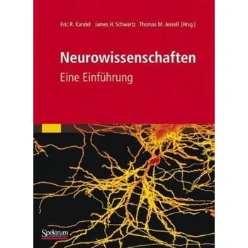 Neurowissenschaften - Kandel, Eric R.