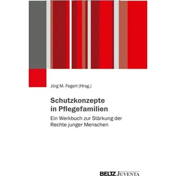 Schutzkonzepte in Pflegefamilien - Fegert, Jörg M.